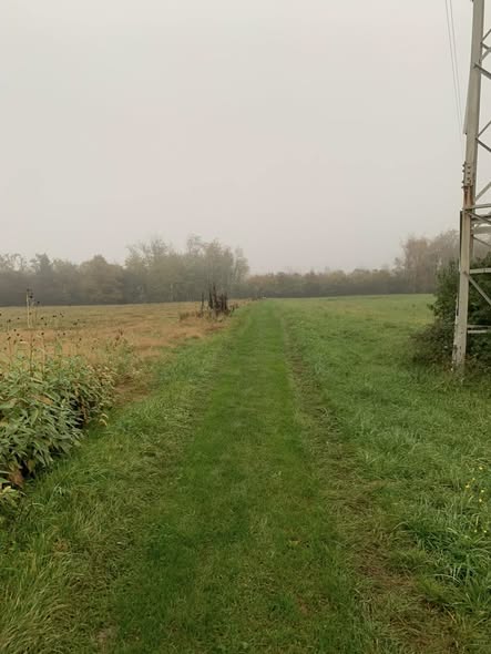 574251099 1355407569709351 9206290994839747827 n