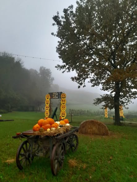 574313008 2247468662383591 1896594839336794674 n