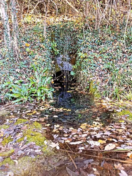 577942466 25433732196244310 4485936707039479103 n